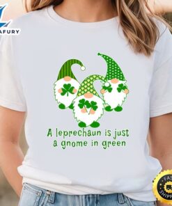 A Leprechaun Is Just A…