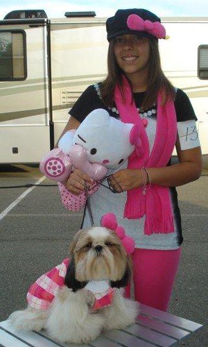 the adorable hello kitty dog costume a movie review 659505ea39ba3.jpg