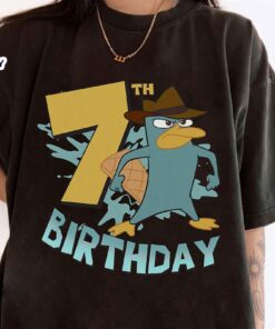 Disney Phineas and Ferb Birthday…