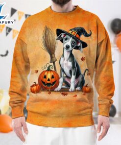 Italian Greyhound Dog In Spooky…