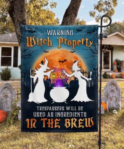 Witchcraft Halloween Witch Property Trespassers…