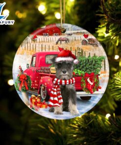 Christmas 2024 Miniature Schnauzer With…