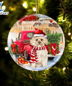 Christmas 2024 Morkie With Red…