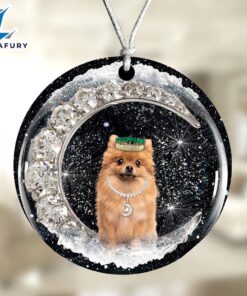 Christmas 2024 Pomeranian With Crown…