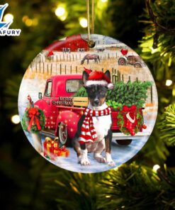 Christmas 2024 Rat Terrier With…