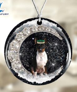 Christmas 2024 Rat-Terrier With Crown…