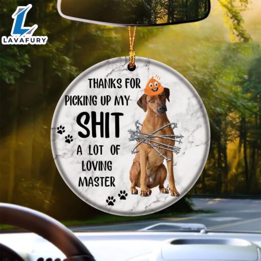 Christmas 2024  Rhodesian Ridgeback A Lot Of Loving Master Ornament, Gift For Christmas