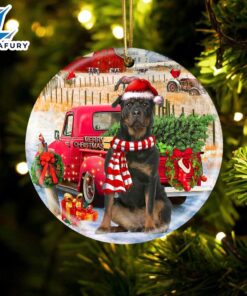 Christmas 2024 Rottweiler 2 With…