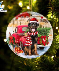 Christmas 2024 Rottweiler With Red…