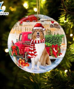 Christmas 2024 Rough Collie With…