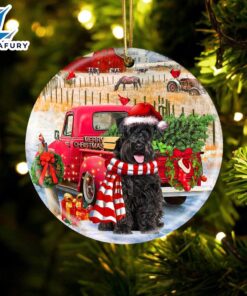 Christmas 2024 Schnauzer With Red…