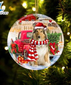 Christmas 2024 Scotch Collie With…