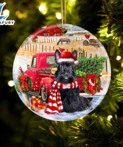 Christmas 2024 Scottish Terrier With…