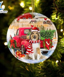 Christmas 2024 Shetland Sheepdog With…