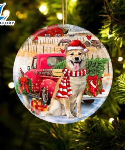 Christmas 2024 Shiba Inu With…