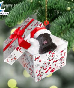 Skye-Terrier In Gift Box Christmas…