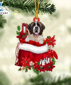 St Bernard In Gift Bag…