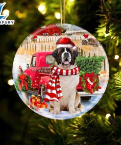 Christmas 2024 St Bernard With…