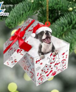 Staffordshire-Bull-Terrier In Gift Box Christmas…