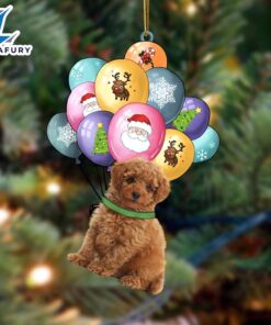 Toy Poodle With Balloons Christmas…