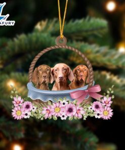 Vizsla Dogs In The Basket…