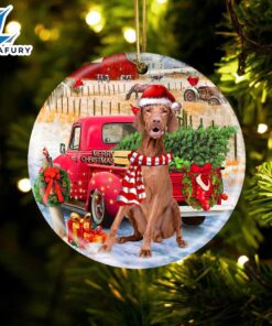 Christmas 2024 Vizsla With Red…