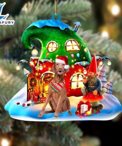 Vizsla With Rudolph’s House Christmas…