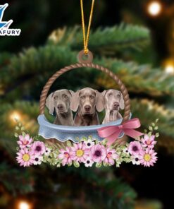 Weimaraner Dogs In The Basket…