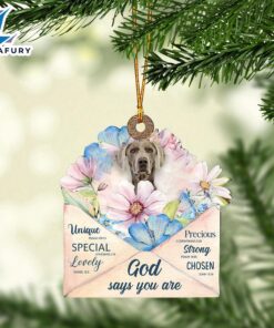 Weimaraner God Says You Ornament,…