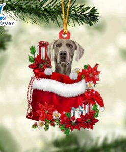 Weimaraner In Gift Bag Christmas…