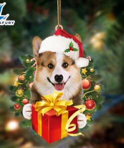 Welsh Corgi-Dogs Give Gifts Hanging…