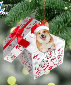 Welsh-Corgi In Gift Box Christmas…