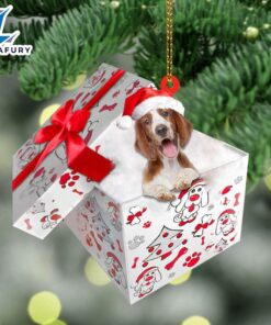 Welsh-Springer-Spaniel In Gift Box Christmas…