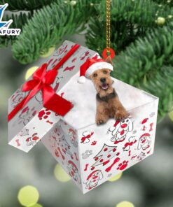 Welsh-Terrier In Gift Box Christmas…