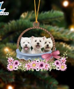 West Highland White Terrier Dogs…