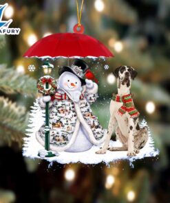 White Great Dane With Snowman…