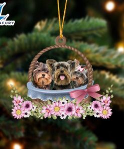 Yorkshire Terrier Dogs In The…