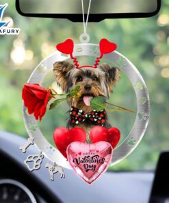 Yorkshire Terrier With Rose &…