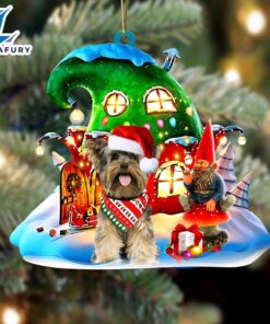 Yorkshire Terrier With Rudolph’s House…