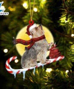 Yorkshire-Terrier On The Candy Cane…